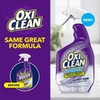 OxiClean plus Bleach, No Drip Foam, Mold & Mildew Bathroom