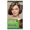 Clairol Clairol Natural Instincts Demi-Permanent Hair Dye, 6C Light Brown