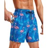 Milin Naco Mens Swim Trunks 5 inch Quick Dry Board