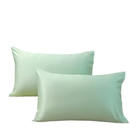 evoLive 100% Rayon Derived from Bamboo Material Cooling Breathable Standard/Queen Pillowcases Pillow Cover 20x30 inches Set of 2 with Envelope Closure (Milky Green, 20”X30“ Standard)