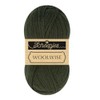 Scheepjes Woolwise 760 Woodland 1 x 100 g