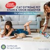 Simple Solution Extreme Cat Stain Eliminator for Strong Odor, Pet