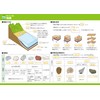 Gakupo Learning Posters to Remember in the Bath, Science 1st