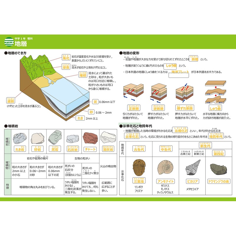 Gakupo Learning Posters to Remember in the Bath, Science 1st
