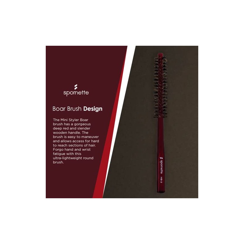 Spornette Mini Styler cerdas de jabalí HB 2 de .75