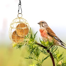 Boisbresil 2Pcs Hanging Metal Small Bird Feeder Fat Ball Feeders Hanging Suet Holders for Fat Balls Metal Ball Feeder with 2 S-shaped hooks for Garden Wildlife Birds Finch Sparrow Robin