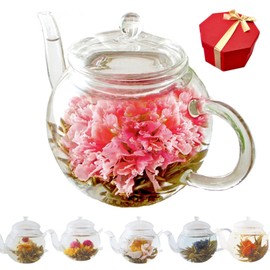 Aika Flower Bud Teapot Set, 6 Types of Craft Tea, Blooming Tea, Heat-resistant Glass Pot Included, Gift Set, Mother's Day, Gift, Women's, Birthday Gift, Tea Set