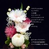 ArtFour Seasons Buddha Flower (Brown Series), Mini Winged Chrysanthemum Glass,