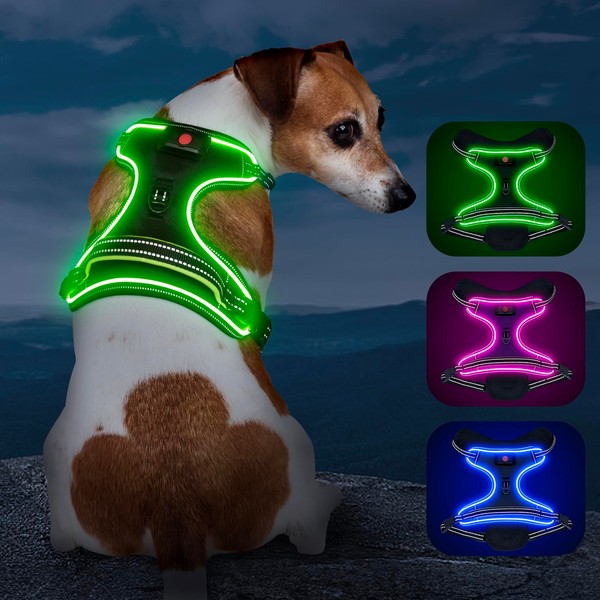 Luminous Rechargeable Light Harness for Dogs, LED Illuminated, for Small,