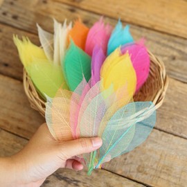DUONGJAIS BRAND 100 Pcs Mixed Colors 4-5 Inches Skeleton Leaves Rubber Tree Natural Scrapbook Craft, Card Wedding, DIY Crafts, Artificial Leaves. (Mixed Colors)