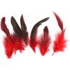 Clockjuan 50 piume rosse naturali per Carnevale Halloween Costume, artigianato,
