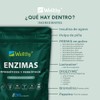 Wellthy Enzimas Digestivas 90 Cápsulas. Reforzado con Prebioticos y Probioticos.
