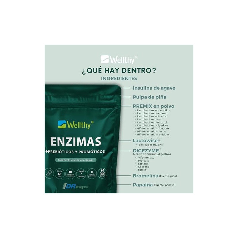 Wellthy Enzimas Digestivas 90 Cápsulas. Reforzado con Prebioticos y Probioticos.
