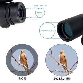 SVBONY SV21 Binocular for Live, 0.4 x 1.7 inches (10 x 42 mm), Binocular Telescope, Visible Face Sweat, Dacha Telescope, High Magnification, 16 Brightness, 5.8° Real Field of View, Compatible with
