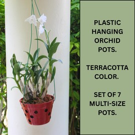 DESQUIGGLE Set of 7 Plastic Hanging Orchid Pots with Holes, 4 x 6.5, 3 x 5.5, Orchid Pots for Repotting, Orchid Planters