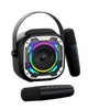 Mini Karaoke Machine with 2 Wireless Microphones for Adults &