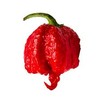 Carolina Reaper Peppers - 10 Peppers