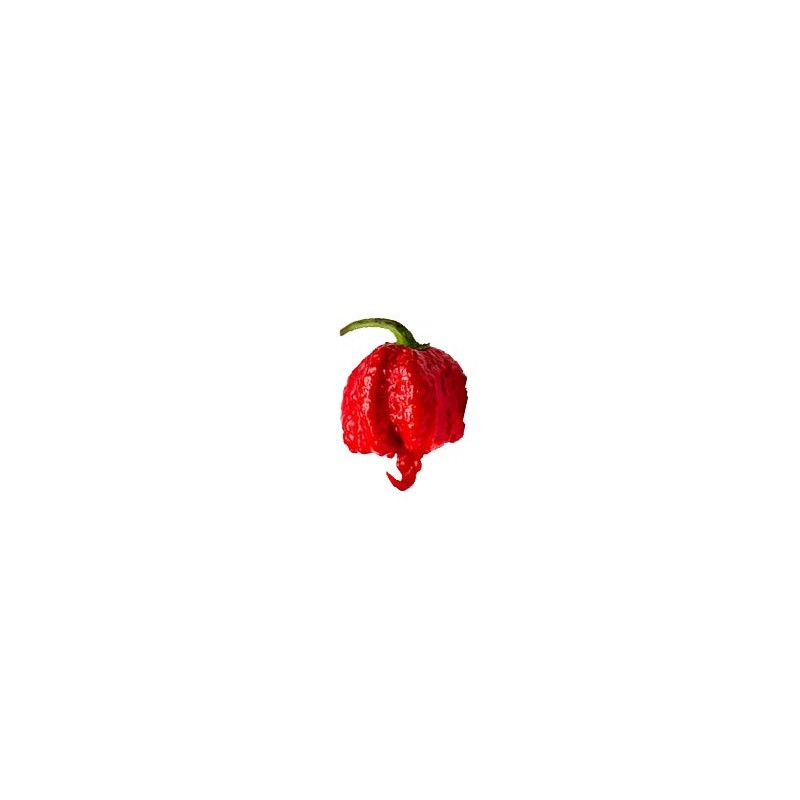 Carolina Reaper Peppers - 10 Peppers