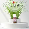 Ga Tlali Aceite Esencial de Citronela 10 ml | Hecho