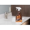 Whink Rust Stain Remover , 24.00 Fl Oz (Pack of