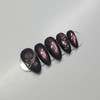 Red Nocturne - Premium Almond / 붉은 야상곡 - 프리미엄