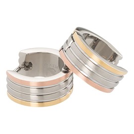 Boccia Titanium Ladies Earrings 0592-02