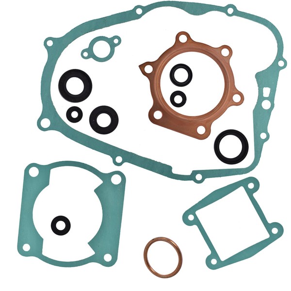 Thomletha Engine Head Gasket Kit with Oil Seals Replacement for