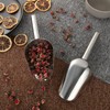 Space Home - Ice Scoop - 2 Piece Set Stainless