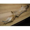 Tanned Grey Fox Hide # 2 Quality Fur