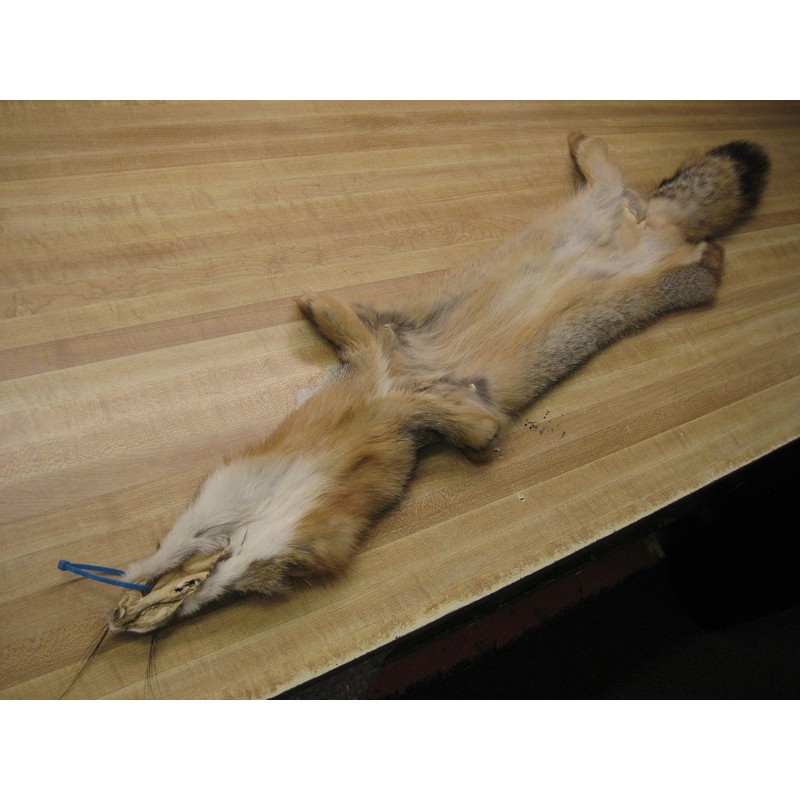 Tanned Grey Fox Hide # 2 Quality Fur