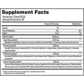 ANS Advanced Nutrition Systems Advanced Nutrition | SURGE 2.0 - Pre-Workout Energy Powder | Pineapple, 663g