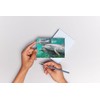 Edition Colibri Dolphins Under Water 3D Lenticular Postcard / Hologram