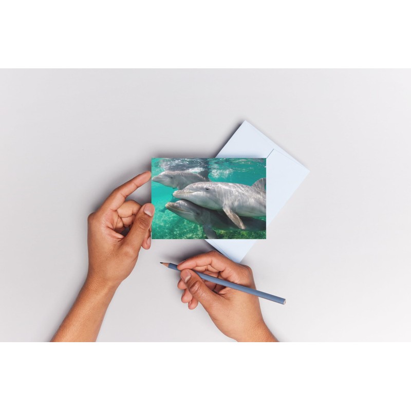 Edition Colibri Dolphins Under Water 3D Lenticular Postcard / Hologram