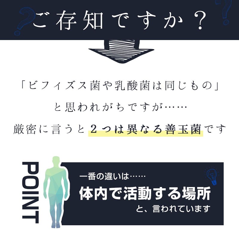 【リプサ公式】 乳酸菌＋ビフィズス菌 約1か月分 C-177 サプリメント