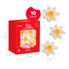 dekora – Fiori commestibili per torte – 10 margherite in