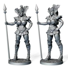 Unbranded Alruna the Valkyrie 75mm DDF Models Swords and Sorcery D&D RPG Viking Scene