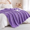 Linecooo Lavender Fleece Throw Blanket 50”×60” for Couch Sofa Bed