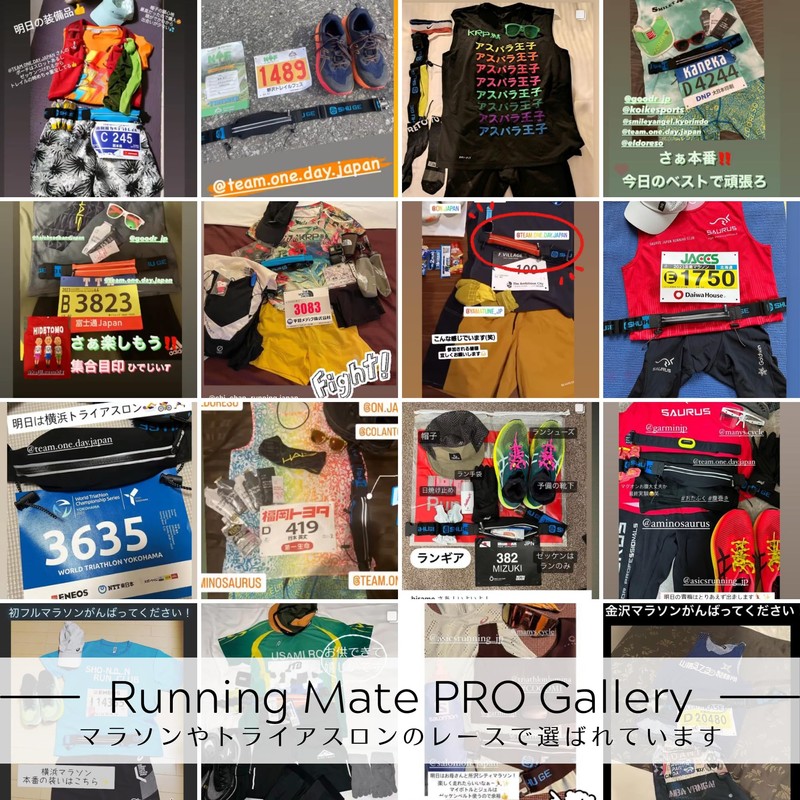 Team One Day Running MatePRO Marathon Pouch, Supervised by Japanese