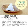 Chatsumi no Sato Domestic Biwa Tea Bag 0.1 oz (3