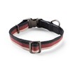 Reddy Stripe Dog Collar, Burgundy, Small