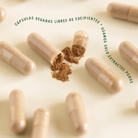 Commons Hongos Adaptógenos - Hongo Melena de Leon 120 Cápsulas - Suplemento Natural - Función Cerebral, Memoria y Enfoque - Alta Calidad - 100% Orgánico