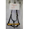 Windmill Monogrammed Horse Halters HORSE HALTER -  FREE NAME ON