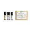 Ellia Essential Oil Set, Breath Deep, with Peppermint, Open Up