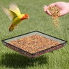 Small Bird Feeder - Outdoor Bird Feeders Ground Tray,Metal Mesh