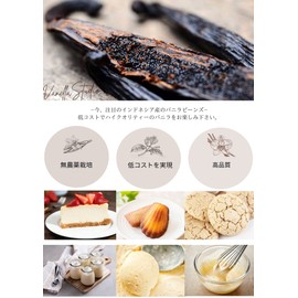 Vanilla Studio 10 Count Indonesian Grade A Vanilla Beans