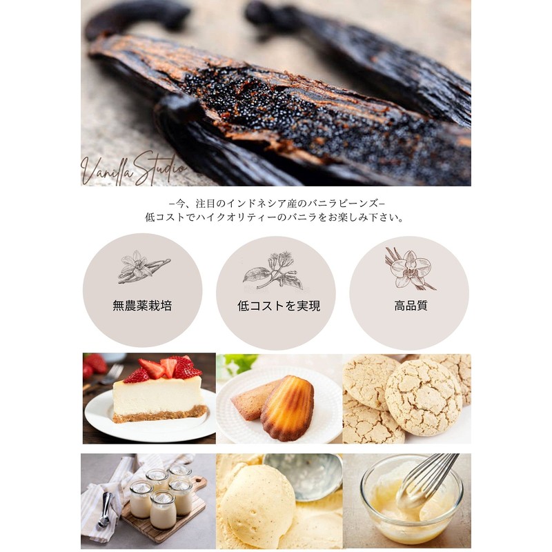 Vanilla Studio 10 Count Indonesian Grade A Vanilla Beans