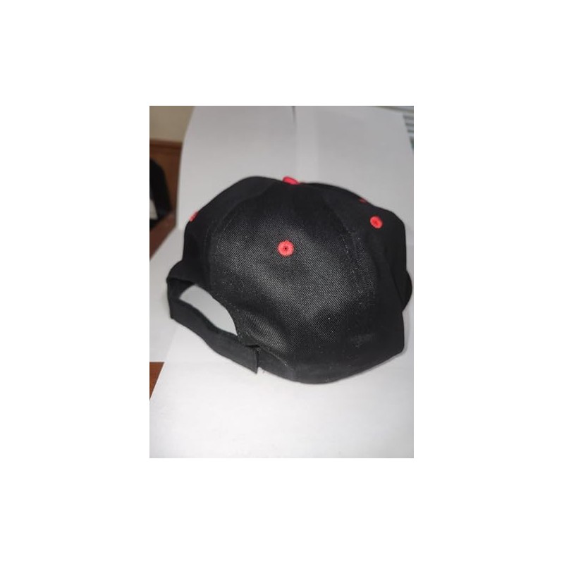 Dump Trump Ball Cap Hat