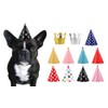 CBM Dog Party Hat Set - Dog Birthday Hats and