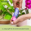 Keiki Cloning Paste by Southside Plants – Nutrient-Rich Paste for