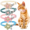Collares de perro básicos, paquete de 4 collares de gato